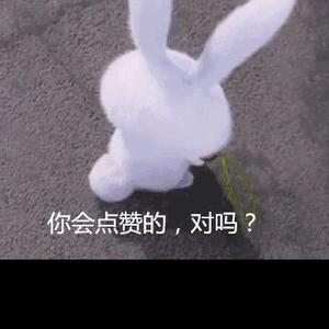 生活禁忌头像