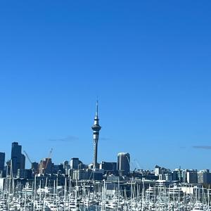 大白爱叨叨 头像