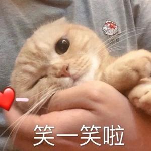 治愈星球alin 头像