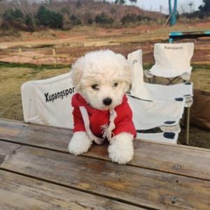 潼潼娱乐大爆炸 头像