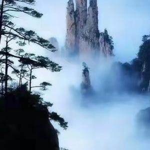 hf魏小强 头像