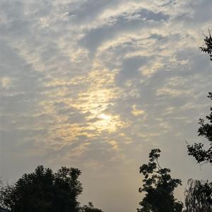 白岩松 头像