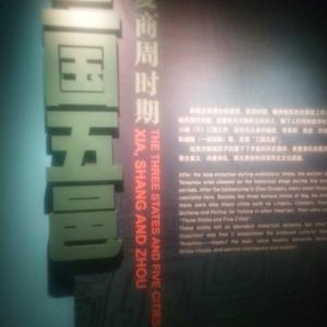 沙滩寻贝壳的达人 头像