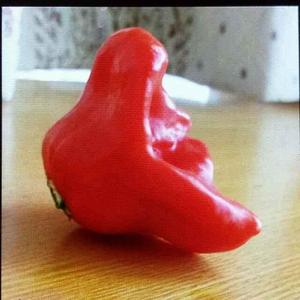 库尔班吐鲁木 头像