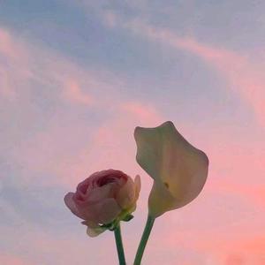 温潮 头像
