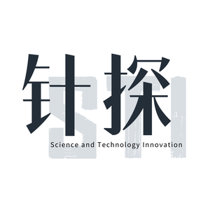 针探STI 头像