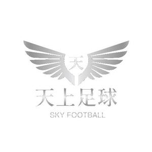 天上足球skyfootball头像