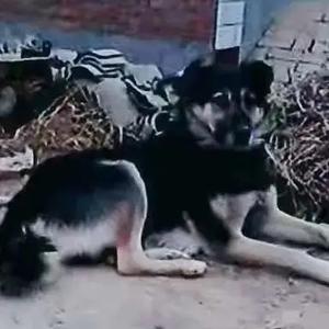 以我之撰饮你之酒 头像