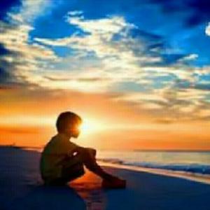 正义凛然羊驼解说 头像