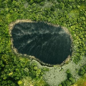 黑默丁格的瑞格之灯 头像