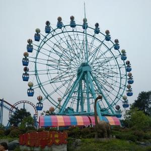 待收割的韭菜2338 头像