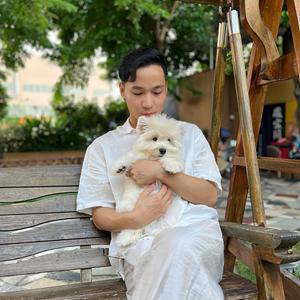 广州养狗小劳 头像