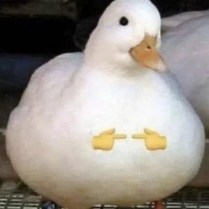 阿加西就会这一句 头像