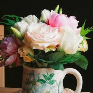 秋风扫木叶下 头像