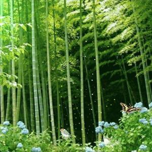 糖葫芦的秀 头像
