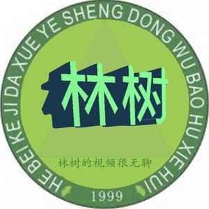 林树的视频很无聊 头像