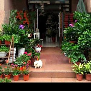 爱笑比利0f2 头像