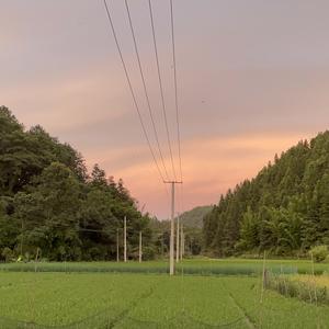 小郭田园生活头像