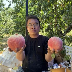 新三农老姚 头像