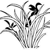 湘西小豆包 头像