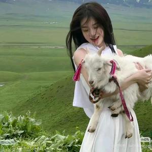 小星的宝箱 头像