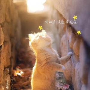 三禾贝贝 头像