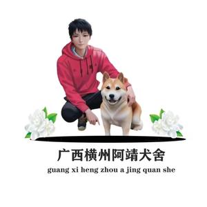 阿靖寻找土猎犬头像