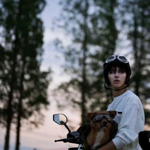 何浩楠女友粉 头像