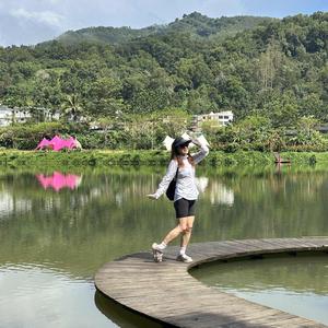 尼克投资Sophie 头像