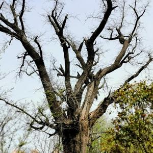 Lucky研途有你 头像