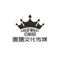 湖南麦穗文化传媒 头像