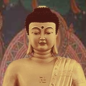 驾照学法练习减分 头像