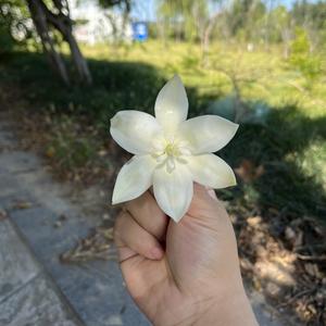 祝你前程似锦912 头像