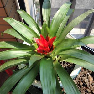 Rex蕉科技数码 头像