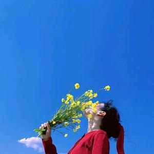 无忧的晚风 头像