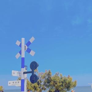 静谧晚风FzTk 头像