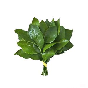 热干面不干 头像