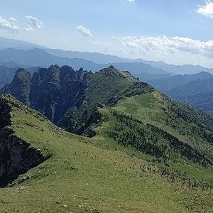 秦人秦之韵 头像