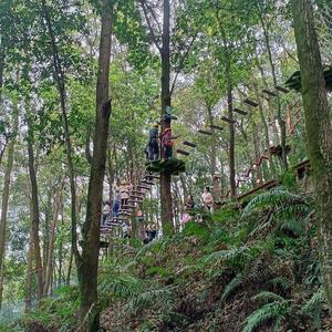 我的小修修 头像