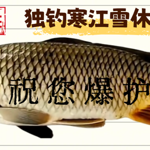 独钓寒江雪 头像
