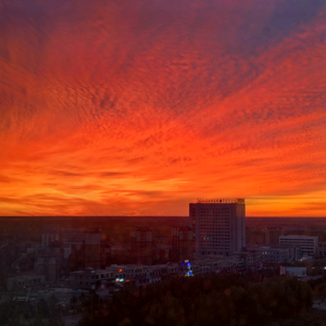 微妍的大树 头像