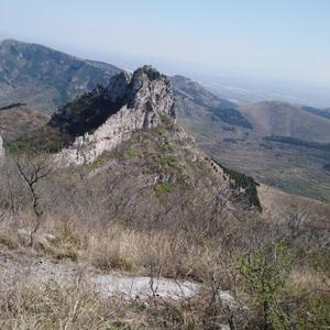 原装山东大汉头像