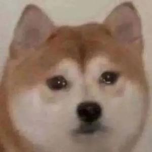 娱乐圈八卦掌门人 头像