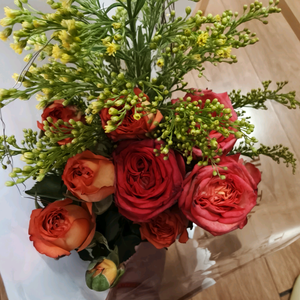 星辰大海Linda 头像