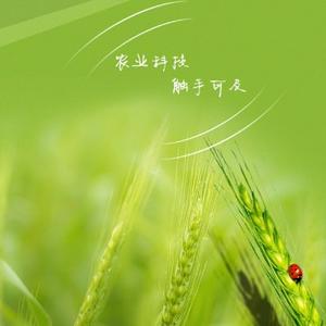 梦幻柳叶eUE 头像