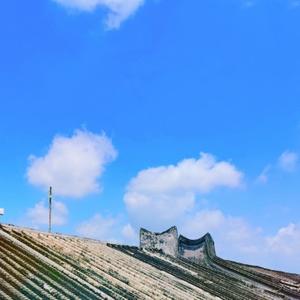🌾哈密瓜味的夏天头像
