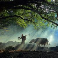 用户50098883234 头像