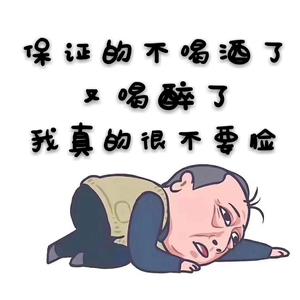 豫东酒哥头像