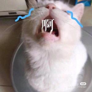 啰嗦不啰嗦 头像