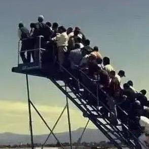 自在吃辣椒的喵酱 头像